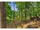 Secluded lot with serene pond view nestled in a lush, wooded area with beautiful mature trees at 4025 Demooney Rd, Atlanta, GA 30349