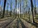 Sunlight through trees show the acreage of this land. Great potential to build your dream home! at 4025 Demooney Rd, Atlanta, GA 30349