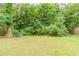 Lush backyard view with foliage at 1421 Dennis Dr, Decatur, GA 30032