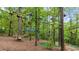 Recreational activities with mini golf and climbing elements woven among mature trees at 15 Bailey St, Whitesburg, GA 30185
