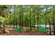 Leisure activities with mini golf, a pool, and canopy adventure elements nestled amongst mature trees at 15 Bailey St, Whitesburg, GA 30185