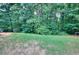 Overgrown backyard with lush green foliage and mature trees at 2314 Robin Dr, Loganville, GA 30052