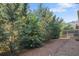 Backyard featuring mature trees, landscape lighting, and wood fence at 2245 Long Bow Chase, Kennesaw, GA 30144