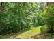 Lush green backyard surrounded by trees at 3223 Heritage Way, Buford, GA 30519