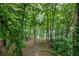 View of a lush, wooded backyard leading to the lake at 1515 Lockridge Dr, Cumming, GA 30041