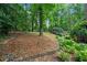 Landscaped backyard with lush greenery, mature trees, and a terraced landscape design at 1548 Valley Reserve Court, Kennesaw, GA 30152