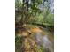 Picturesque creek winding through a verdant landscape, showcasing the property's natural beauty at 1713 Cagle Ct, Lawrenceville, GA 30045