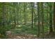 Lush landscaping creates a serene natural setting at 2010 Riverside Rd, Roswell, GA 30076