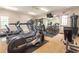 Community gym with cardio machines, free weights, television, and large windows at 11259 Calypso Dr, Alpharetta, GA 30009