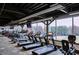 Well-equipped gym with modern treadmills, weights, and a large window overlooking a beautiful outdoor view at 11785 Mountain Laurel Dr, Roswell, GA 30075