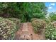 Picturesque backyard featuring a wooden staircase, surrounded by lush greenery and trees, creating a natural pathway at 2412 Boulder Se Rd, Atlanta, GA 30316
