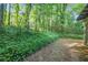 Backyard featuring mature trees and greenery at 1417 Poplar Pointe Se, Smyrna, GA 30082
