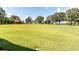 Expansive green lawn with mature trees and white house in the distance under a blue sky at , Social Circle, GA 30025