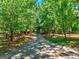 Long driveway lined with mature trees, creating a private and picturesque entrance to the property at 228 Indian Creek Rd, Locust Grove, GA 30248