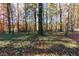 Natural backyard with beautiful trees providing both privacy and a sense of nature at 2001 Towne Lake W Hls, Woodstock, GA 30189