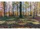 Beautiful view of backyard with mature trees on a lush and green homesite at 2001 Towne Lake W Hls, Woodstock, GA 30189