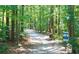 Scenic view of a well-maintained walking trail through a lush, green forest area at 4231 Millcroft Pl # 207, Buford, GA 30518