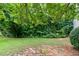 A lush green backyard with mature trees, creating a private and serene outdoor space for leisure at 248 Springbottom Dr, Lawrenceville, GA 30046