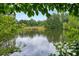 Picturesque pond view framed by lush greenery, featuring a wooden dock extending into calm waters at 411 Mountain View Ln, Woodstock, GA 30188