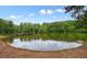 Scenic pond with a wooden dock surrounded by lush trees, creating a serene and inviting waterside retreat at 411 Mountain View Ln, Woodstock, GA 30188