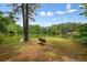 A peaceful bench sits by the serene pond, offering a tranquil spot amidst nature's beauty at 411 Mountain View Ln, Woodstock, GA 30188
