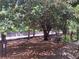 Shaded outdoor space overlooking a walking trail, with mature trees and wood chip ground cover at 1075 Peachtree Walk # A205, Atlanta, GA 30309