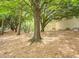 Community park area with mature trees, mulch ground cover, and benches at 1075 Peachtree Walk # A205, Atlanta, GA 30309