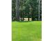 Expansive green backyard with grass and a metal fence at 2031 Broadmoor Way, Fairburn, GA 30213