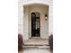 Inviting front entrance features a stone archway, elegant glass door, and a view into the home's interior at 10580 Grandview Sq, Johns Creek, GA 30097