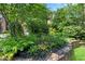 Beautiful garden with ferns, varied plants, and stone edging creating a serene and inviting outdoor space at 1029 Fairway Ne Ests, Atlanta, GA 30319