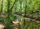 Scenic view of a tranquil stream flowing through a lush green forest, creating a peaceful and natural setting at 2900 Orchard Sw Rd, Conyers, GA 30094