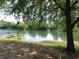 Scenic view of the Chattahoochee River framed by lush greenery and trees at 1026 Riverbend Club Se Dr, Atlanta, GA 30339