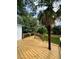 Outdoor deck with palm tree at 1766 W Lyle W Ave, College Park, GA 30337