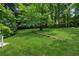 Expansive grassy backyard with mature tree coverage and a fallen log provides a natural play area at 540 Alcovy Hills Dr, Lawrenceville, GA 30045