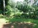A view of green space with trees and shrubbery at 2900 Hitt Rd, Cumming, GA 30041
