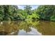 A tranquil pond surrounded by lush greenery, its still waters mirroring the sky and trees at 347 Oakhurst Dr, Marietta, GA 30066