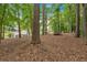Lush backyard surrounded by mature trees, offering a serene and private outdoor retreat at 1637 Willow Way, Woodstock, GA 30188