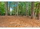 Scenic backyard with mature trees creating a private outdoor space, perfect for relaxation and enjoyment at 1637 Willow Way, Woodstock, GA 30188