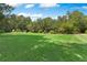 Expansive backyard showcasing a lush green lawn with mature trees, perfect for outdoor activities and relaxation at 2390 Sassafrass Ln, Powder Springs, GA 30127