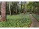 Backyard featuring tall, mature trees, a lush lawn and a stone pathway at 3916 E Brookhaven Ne Dr, Brookhaven, GA 30319