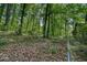Leaf-covered backyard with dense trees, showcasing a natural, wooded setting at 911 White Stag Ln, Canton, GA 30115