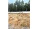 New home construction showing foundation for a single Gathering home surrounded by a wooded lot at 1018 Merritt Dr # 110, Villa Rica, GA 30180