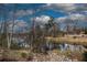 Scenic view of a pond surrounded by trees and natural vegetation at 451 Tioram Se Ln, Smyrna, GA 30082
