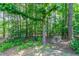 Serene backyard view featuring mature trees, shrubs, and natural landscaping at 12015 Harbour Town Pkwy, Fayetteville, GA 30215