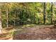 Image of the backyard with the natural surroundings, trees, and fence line at 2849 Crescendo Dr, Atlanta, GA 30318