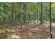 Backyard with mature trees creating a private and peaceful wooded setting at 3265 Greenhill Ct, Villa Rica, GA 30180