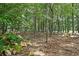 Scenic backyard with mature trees creating a private and peaceful wooded setting at 3265 Greenhill Ct, Villa Rica, GA 30180