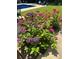 Landscaped area featuring flowers at 3962 Chicamauga Ne Dr, Kennesaw, GA 30144