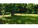 Lush green backyard with mature trees, offering a private and natural setting at 9148 Homewood Dr, Riverdale, GA 30274