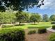 A lush front yard with well-manicured landscaping and mature trees along a quiet street at 3532 W Hampton Nw Dr, Marietta, GA 30064